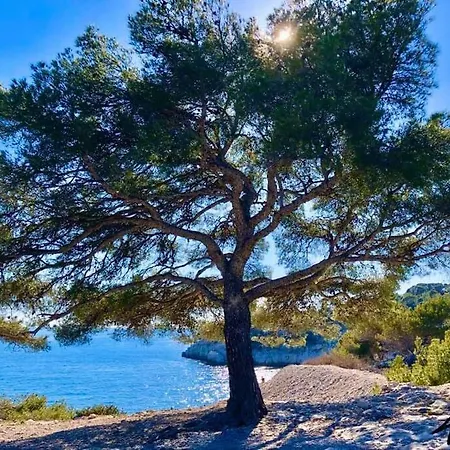 Au Coeur De *