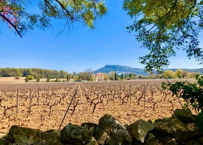 Au Coeur De * Cassis
