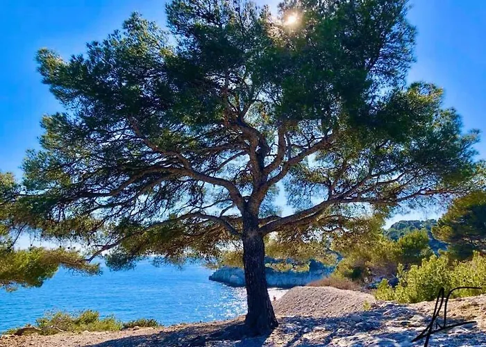 Au Coeur De *